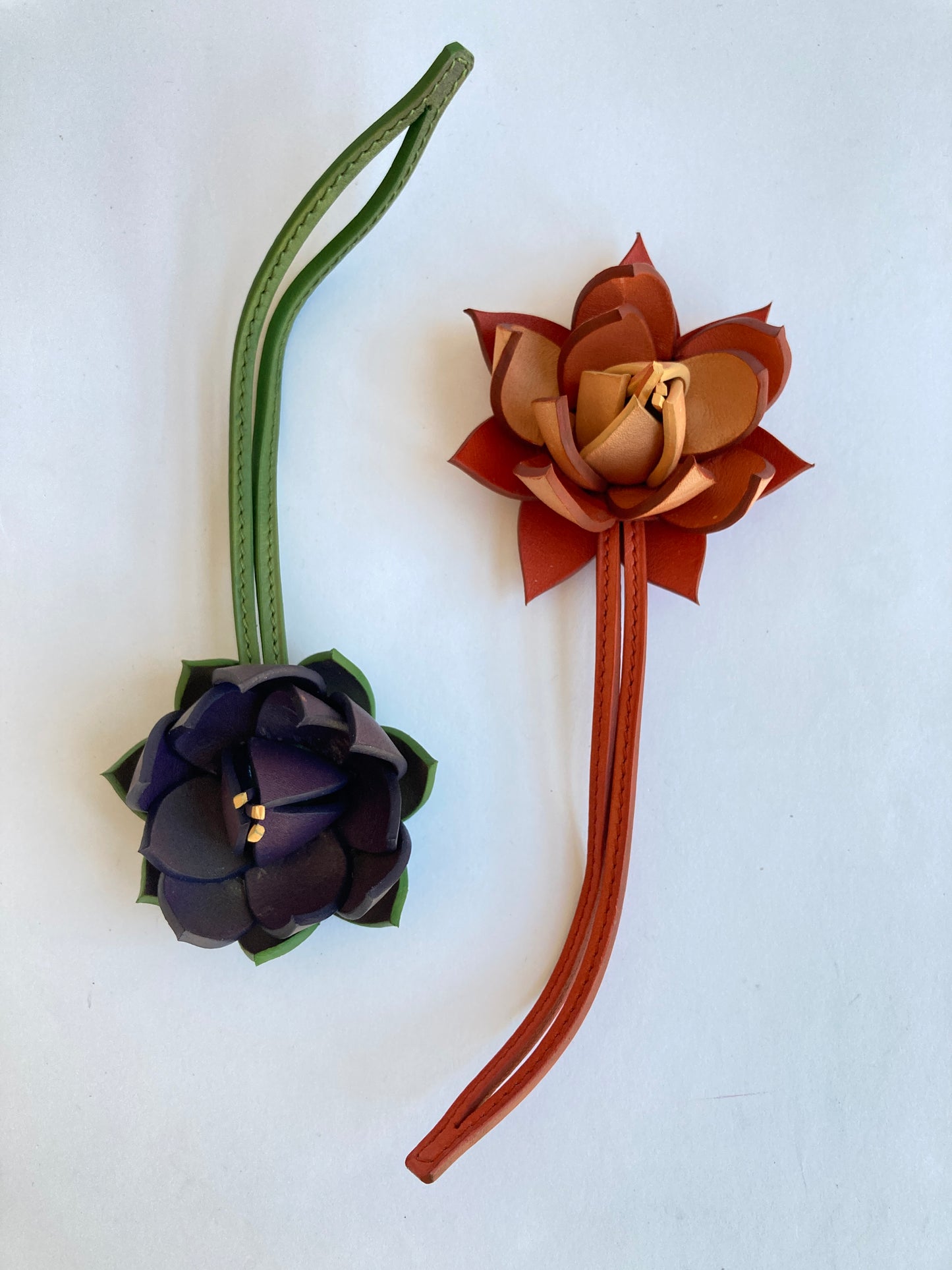 Fleur de Lotus