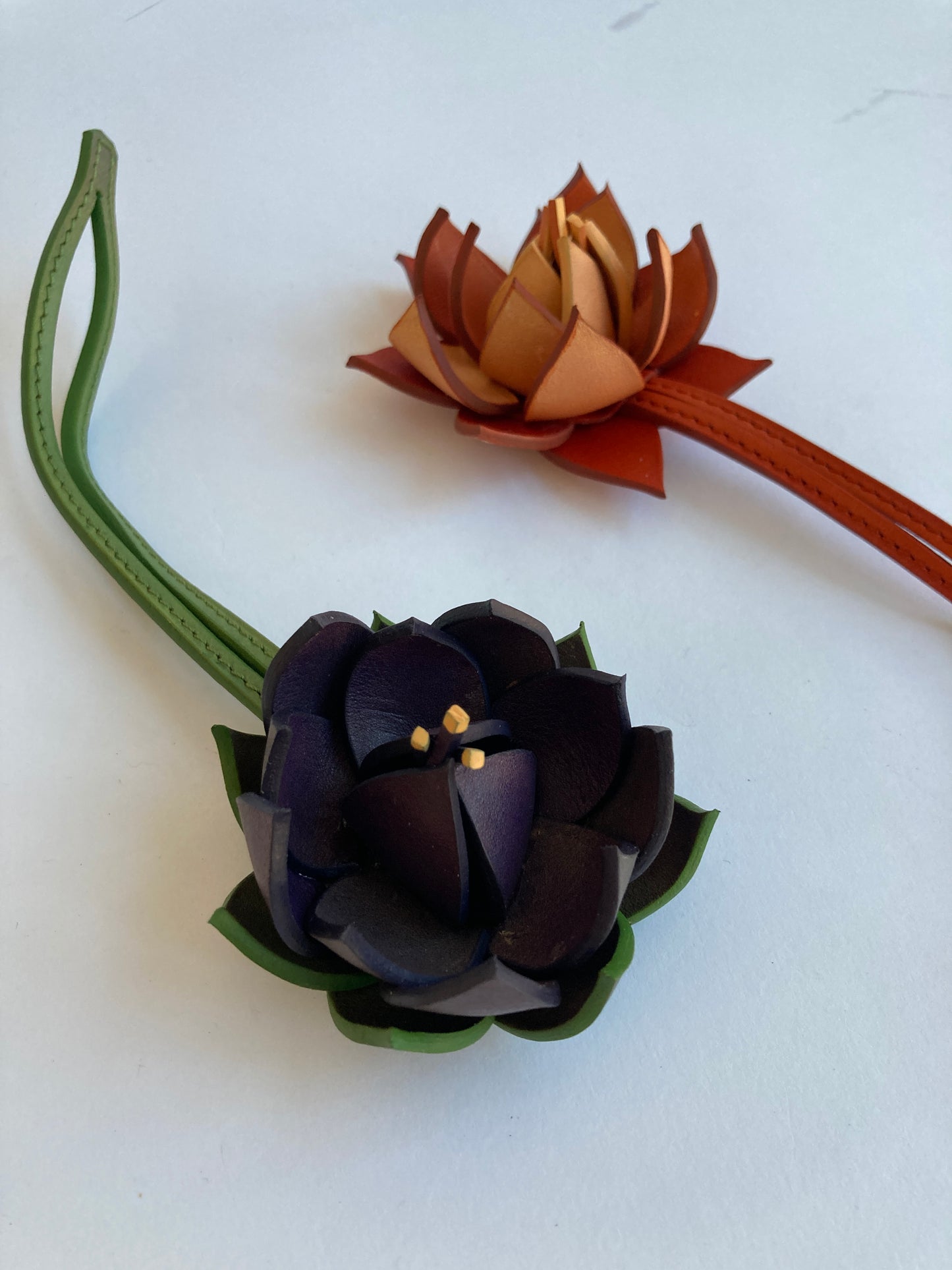 Fleur de Lotus